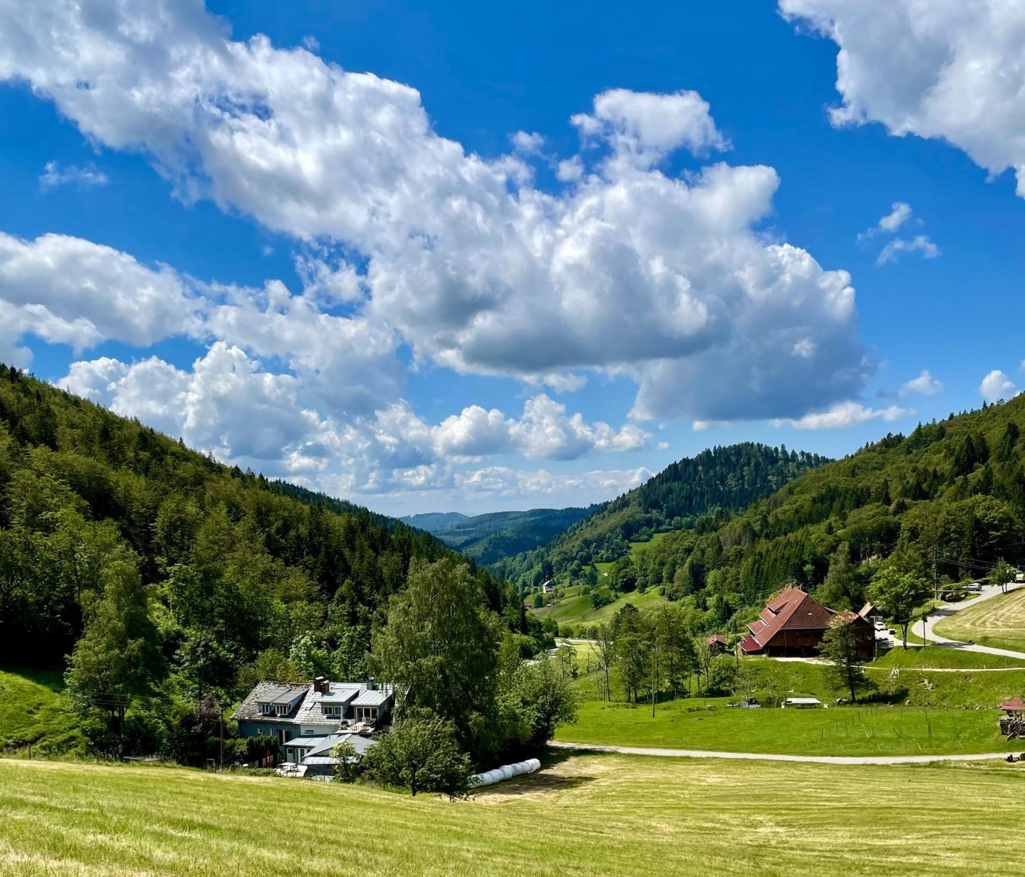 Casa Alma Daire Neuenweg Dış mekan fotoğraf